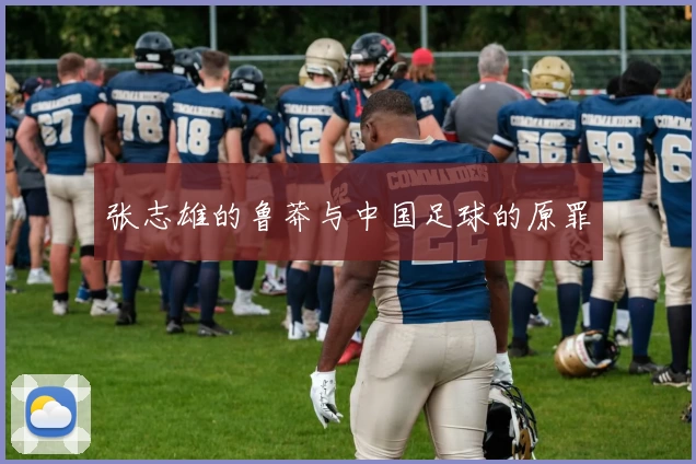 张志雄的鲁莽与中国足球的原罪