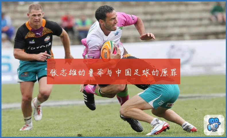张志雄的鲁莽与中国足球的原罪