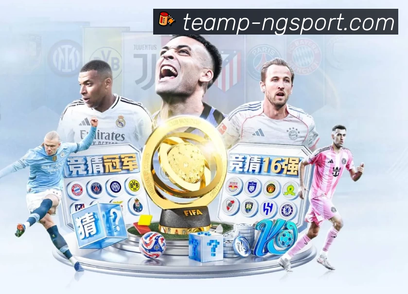 NG体育全站App